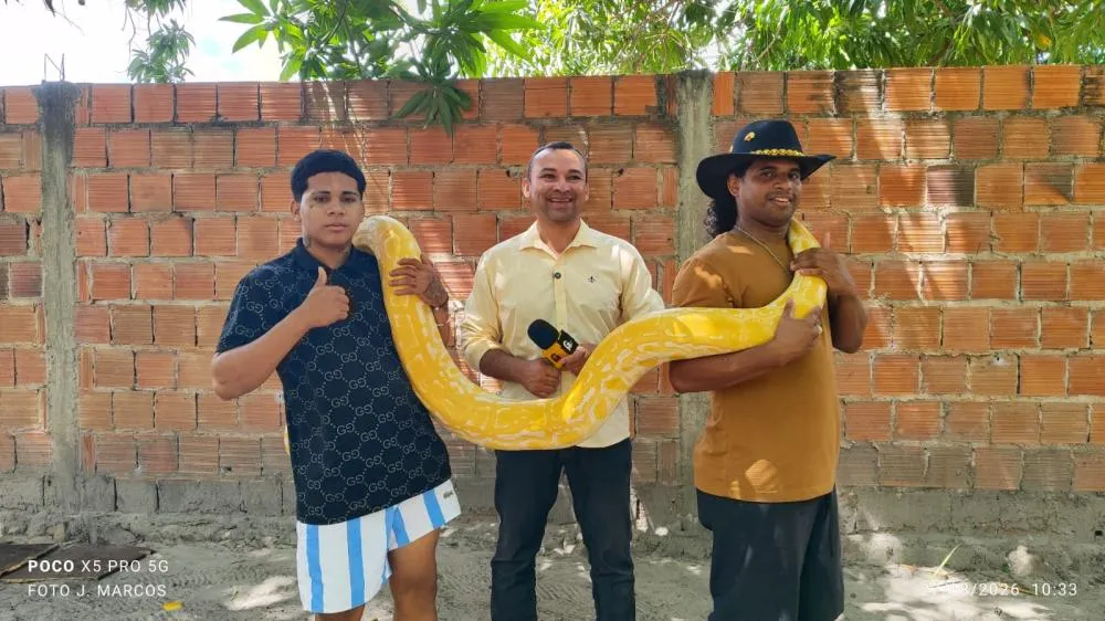 Conheça Antônio Filho, criador de cobras em Parnaíba que diz não enxergar maldade nos animais